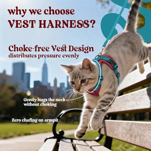 Image of rabbitgoo Cat Harness and Leash Set, Escape Proof Vest, Red & Teal | Soft Breathable Mesh, Easy Adjustable Fit, Snap Buckles, Sturdy Clip, Reflective Strips, for Average Cats Walks, S
