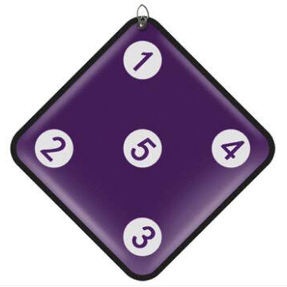 Bersaglio Per Scherma In Pelle - Doppia Faccia Per Allenamento Di Fioretto, Spada E Sciabola - Foto 13