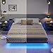 Hasuit Floating Bed Frame Full Size with LED Lights, Metal Platform Full Bed, No Box Spring Needed, Easy to Assemble (Full)