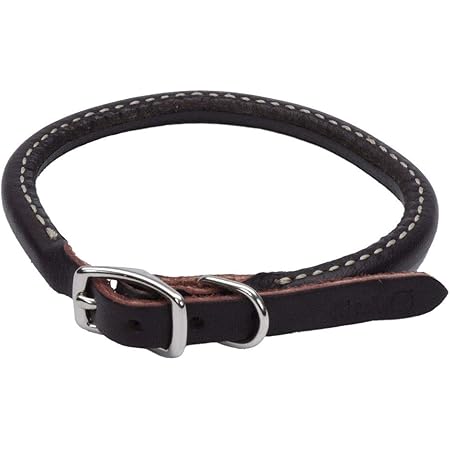 latigo dog collar