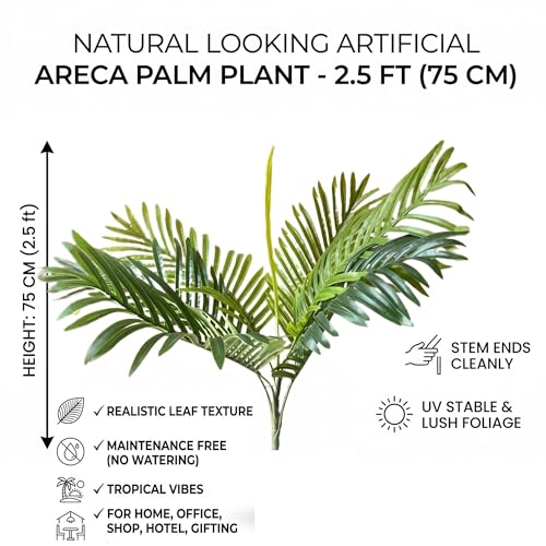 Image of Kayra Decor 2.5 Feet Artificial Palm Plant for Home Decor | Artificial Tree Without Pot