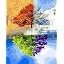 Four Seasons Tree of Life