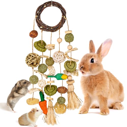 VESPRO Bunny Chew Toys, Rabbit Cage Hanging Chewing Toy and ...