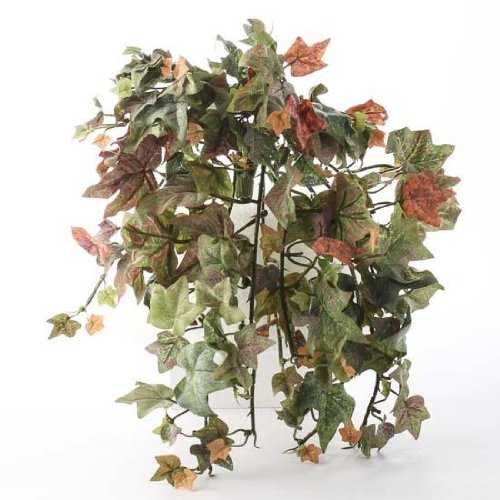 Group of 4 Natural-Looking Faux English Ivy Bushes with Broad Fan Shaped Variegated Green and Orange Leaves