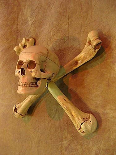 Skull/Humerus Bone Wall Sconce, w/ 3" Skull, No Candle
