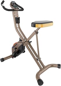 The 5 Best Folding Exercise Bike 3 51 QDsCEryL. AC SL300