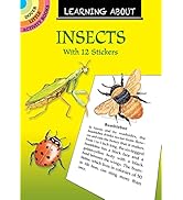 Learning About Insects (Dover Little Activity Books)