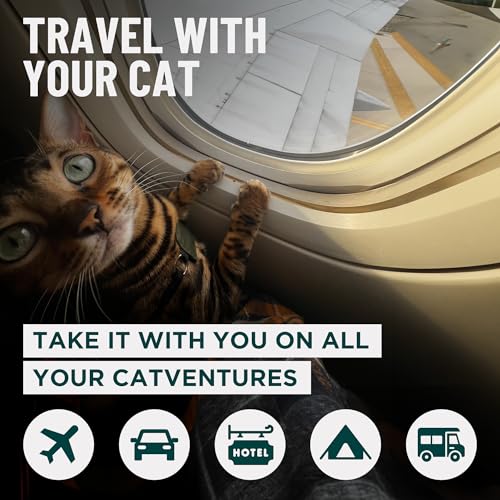 Image of Travel Litter Box for Cats (Small) by OutdoorBengal - Portable Litter Box, Collapsible, Waterproof cat Litter Box (Great for Plane, Car, Van, Camping and Hotel Traveling with Your Kitty)