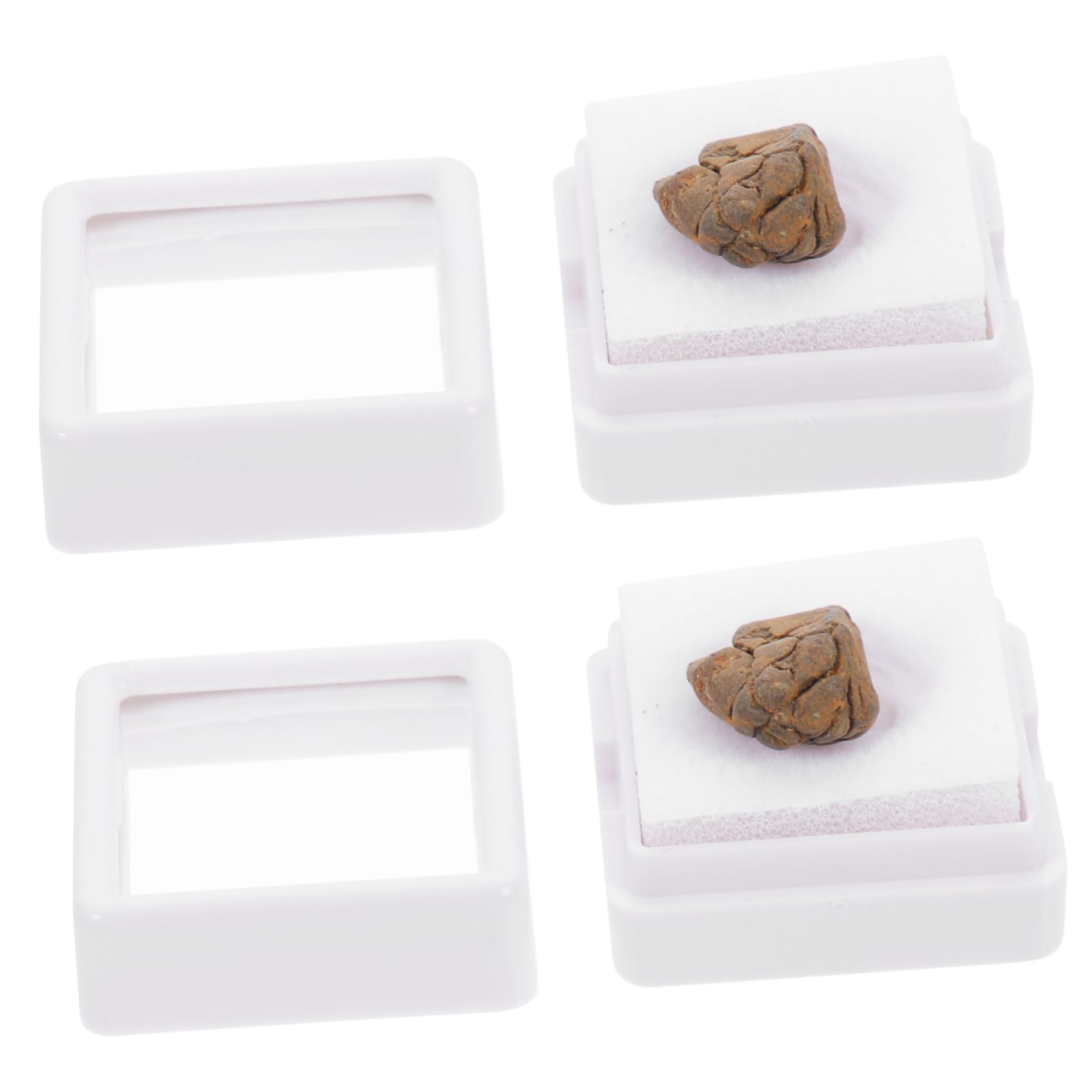 SOESFOUFU2pcs Olive Meteorite Lithosiderite Meteorite Kids Decor Table Mats Marble Tabletop Decor Cable Rods Aerolite Meteorite Stone Display Space Meteorite Toys Puzzle Child Model