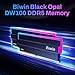 Biwin Black Opal DW100 DDR5 RGB RAM 48GB (24GBx2) 6000MHz CL28 Computer Memory Intel XMP 3.0 AMD Expo Compatible- Black - DW100-48GB-6000-1R8-D28FB
