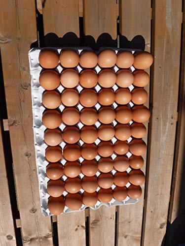 こだわりの平飼い有精卵(たいようの幸せたまご)10個 x3パック