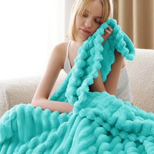 Bedsure GentleSoft Blue Fog Fleece Blanket for Couch - Cozy Soft Blankets for Women, Cute Small Throws for Girls, 60x80 Inches