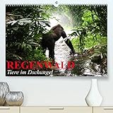 Regenwald • Tiere im Dschungel (hochwertiger Premium Wandkalender 2024 DIN A2 quer), Kunstdruck in Hochglanz