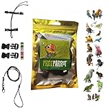 PETTORINA PAPPAGALLI regolabile MISURA da cocorite ad amazzone 3mm elastica E nastro 10mm, fibbie plastica GUINZAGLIO 3mm nero 1M (nera)