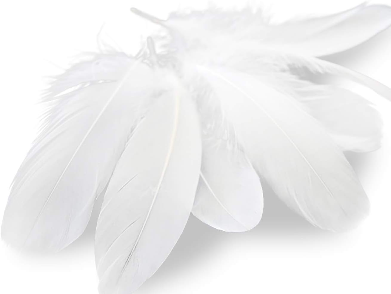 Piokio 100 pcs Natural White Goose Feathers in Bulk 6-8 inch(15-20 cm) for Cupcake Decorations, DIY Art and Dreamcatcher