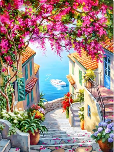 YMJD 11CT Point de Croix kit Debutant Broderie Imprimé Cross Stitch (Piccola Città 40×50cm)