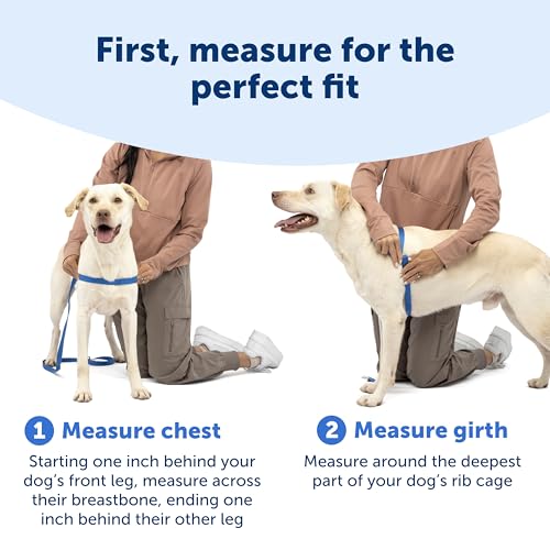PetSafe Deluxe Easy Walk Hundegeschirr