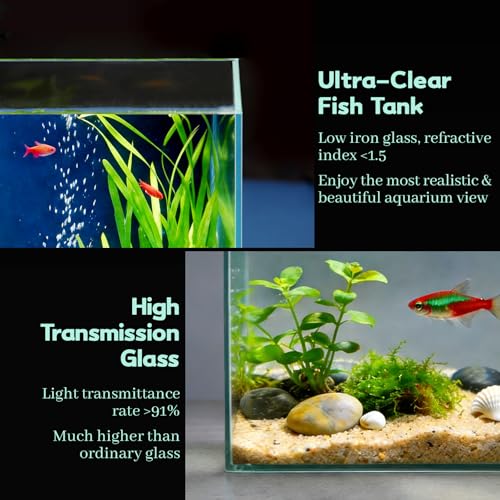 Image of LAQUAL 1 Gallon Fish Tank Starter Kit with Fish Net, 1 Water Changer Siphons & 2 Cleaning Cloth, Crystal Clear Glass Fish Tank, Small Fish Tank /Aquarium for Betta & Goldfish, Nice Home Decor
