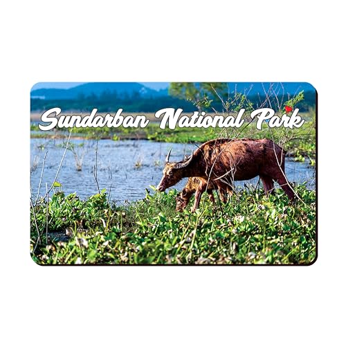 Image of Elegant Fridge Magnet with Themes |Rectangular Size Refrigerator Magnet with Magnetic Rubber Back | Pack of 1, 8.6cm X 5.4cm (Sundarban National Park)