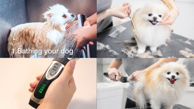 oneisall Dog Clippers Low Noise, 2-Speed Quiet Dog Grooming Kit Rechargeable Cordless Pet Hair Clipper Trimmer Shaver… - Image 7
