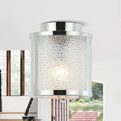 Parrot Uncle Luces de techo Luces de garaje Candelabros de techo para cocina Dormitorio Pasillo Porche Pasillo Entrada, Cromo Cover