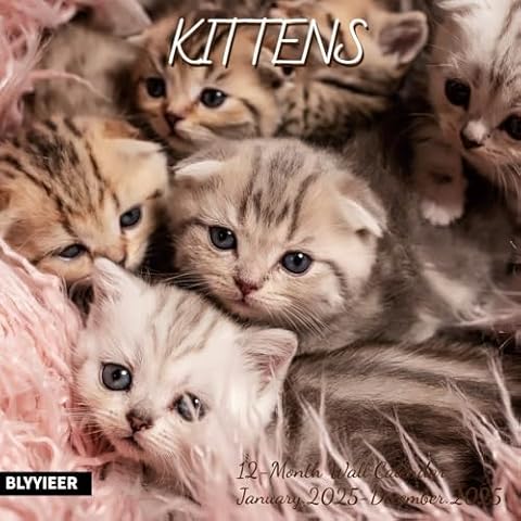 2025 Wall Calendar,Calendar 2025,Kittens Monthly Wall Calendar, 12" x 24" Open,Family Planner Calendar Organizer with Cute kittens Images, for Kitty Cats Lovers Cover