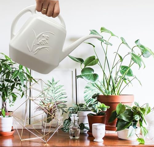 VKPLITE Plastic Watering Can - 1/2 Gallon - White Color - Thumbnail 4