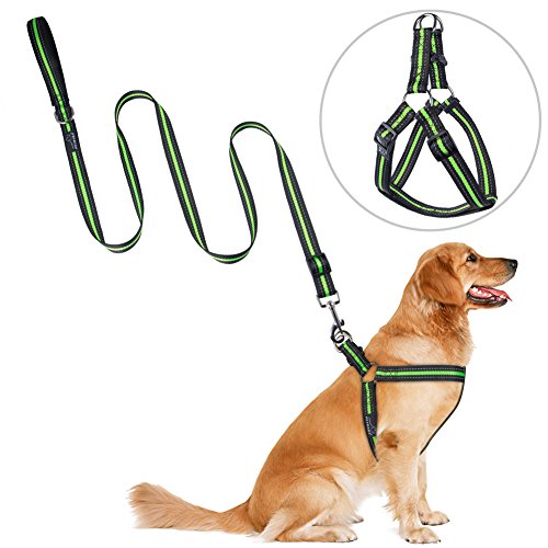 petbaba dog harness