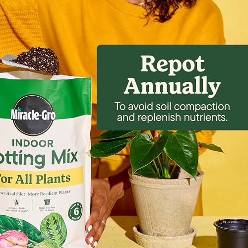 Miracle-Gro Indoor Plant Grow, Feed & Protect Houseplant Care Bundle - image 8