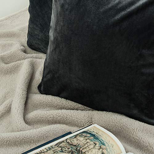 Image of NTBAY Zippered Velvet Square Throw Pillow Covers, 2 Pack Soft and Luxury Decorative Cushion Cases, 18x18 Inches, Charcoal Grey