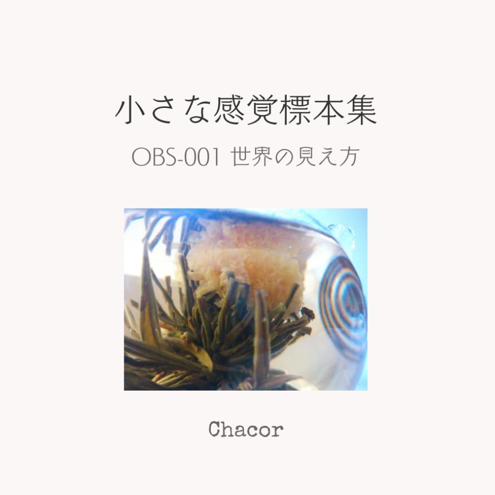 小さな感覚標本集: OBS-001 世界の見え方 (小さな感覚標本集シリーズ)