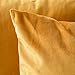 MIULEE Pack of 2 Velvet Soft Solid Decorative Square Throw Pillow Covers Set Cushion Case for Fall Sofa Bedroom Car18x18 Inch 45x45 Cm