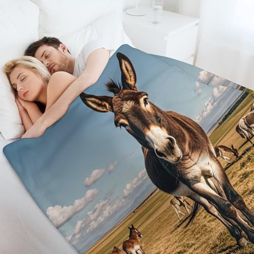 Couverture en micro polaire légère chaude et rafraîchissante lit