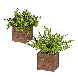 Vlorart Small Fake Plants, 2Pack Mini Potted Artificial Plastic Boxwood Fern Green Decorative Plant in Wooden Potted, Fake Desk Plant for Farmhouse Home Decor Office Bathroom Desk Room Indoor Outdoor