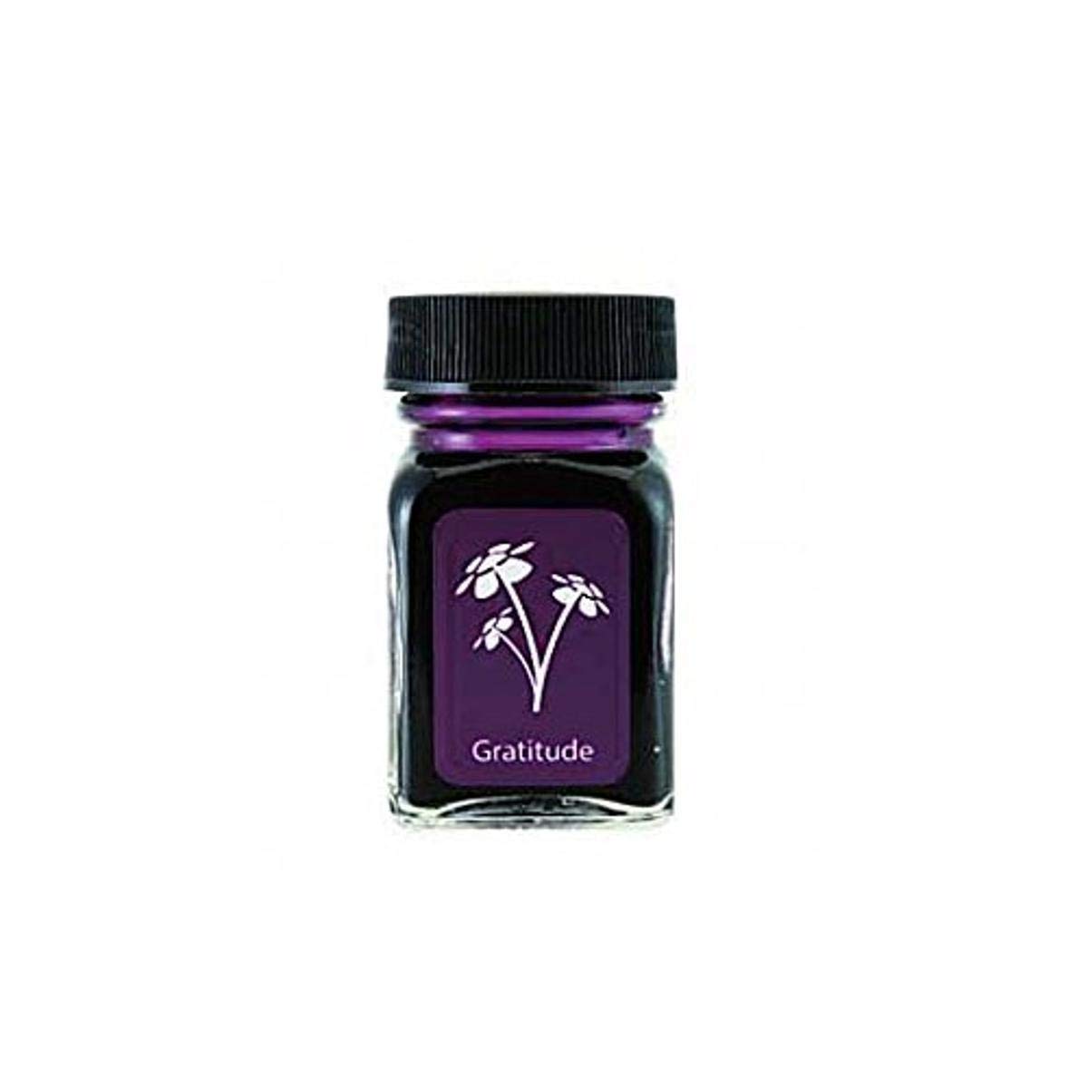 Bottle Ink, 30ml, Gratitude Magenta (G309GM)