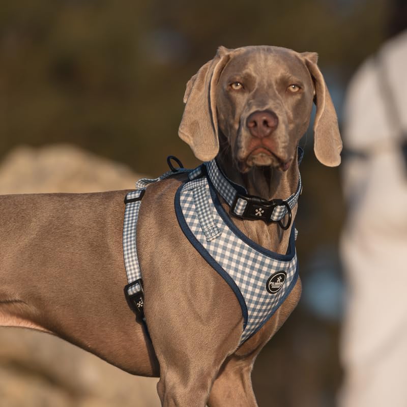 Arnés M Vaquero para Perro Ajustable de Neopreno - Diseño Vichy - 4 Tallas - Arnés Cómodo y Resistente para Perros
