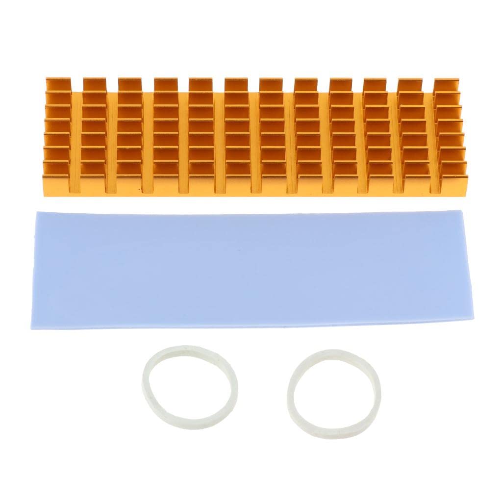 LOOM TREE Aluminum M.2 2280 SSD Cooling Kit Heatsink Cooler with Thermal Pad – Golden Computer Components & Parts | Fans Heat Sinks & Cooling | Memory & Chipset Cooling