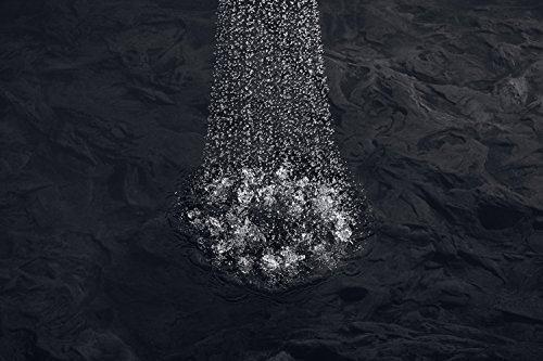 Kohler 394189 Showerhead, Polished Chrome #TOP2