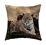 Swono African Animal Safari Leopard Wildlife Pillow Cover 16x16 inches,Decorative Couch Pillow Cover