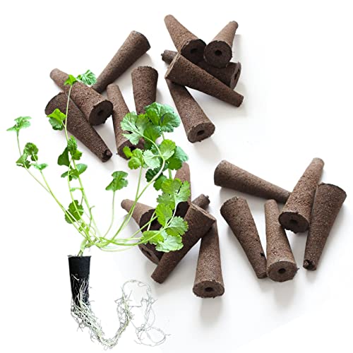 nervousrhinos 水耕栽培 スポンジ 10,20,30,50パック 水耕栽培キット 室内 (20)