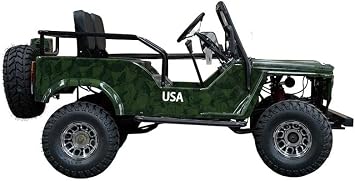 HHH Adults and Youth VITACCI GR2-125cc Go Kart with 3 Speed Semi-Automatic with Reverse and Big 18 inch Aluminium Rim Wheels RPS TK125JP (Green) - Large