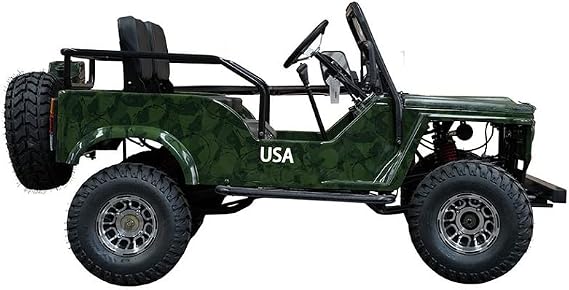 HHH Adults and Youth VITACCI GR2-125cc Go Kart with 3 Speed Semi-Automatic with Reverse and Big 18 inch Aluminium Rim Wheels RPS TK125JP (Green) - Large