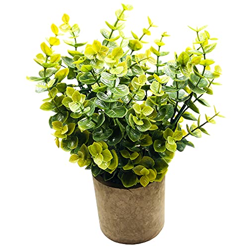 Svenee Mini Potted Plants Artificial Flocked Eucalyptus Greenery In Pots Faux Potted Herbs Small Houseplants For Indoor Outdoor Greenery Tabletop Decoration Centerpiece, Garden,Farmhouse (1) #TOP5