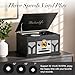 10-in-1 Record Player with Built-in Speakers Wireless Playback, CD & Cassette Player, USB Player, AM/FM Radio, 3 Speeds Turntable Vinyl Record Player Black