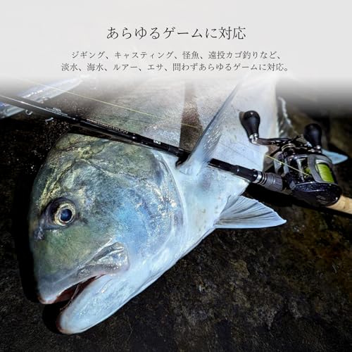 テイルウォーク (Tailwalk) ベイトリール ELAN SUPER WIDEPOWER (エラン スーパーワイドパワー) 71BR 10枚目