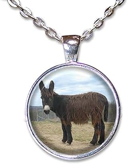 Poitou Donkey Farm Animal Lovers Handmade ROUND Glass Pendant Necklace Jewelry (18, Bright Silver Tone)