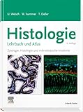 Histologie - Lehrbuch und Atlas: Zytologie, Histologie und mikroskopische Anatomie - Ulrich Welsch, Wolfgang Kummer, Thomas Deller 