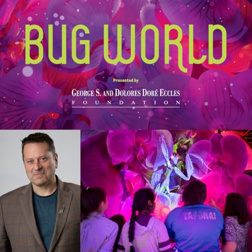 Giant insects come alive as a new immersive museum exhibition