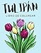 Tulipán Libro de Colorear: Libro de Colorear Tulipán, Más de 30 Páginas Para Colorear, Tulipa linifolia, Tulipa, Flor Libro para Colorear para Niños, ... - 🔥 Horas de Diversión Garantizadas! ✅ 🇪🇦