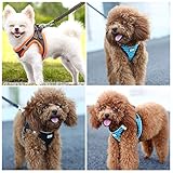 Suredoo Hundegeschirr mit Leine Anti Zug Geschirr Reflektierend Brustgeschirr für Kleine Hunde, Haustiere, Welpen, Katzen (Braun Orange, XS)